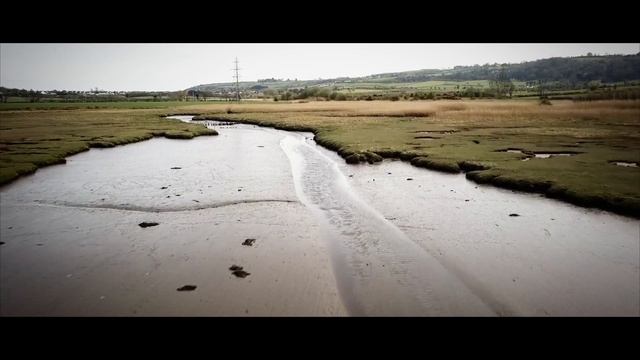 Larne Lough, Islandmagee, Northern Ireland смотреть онлайн