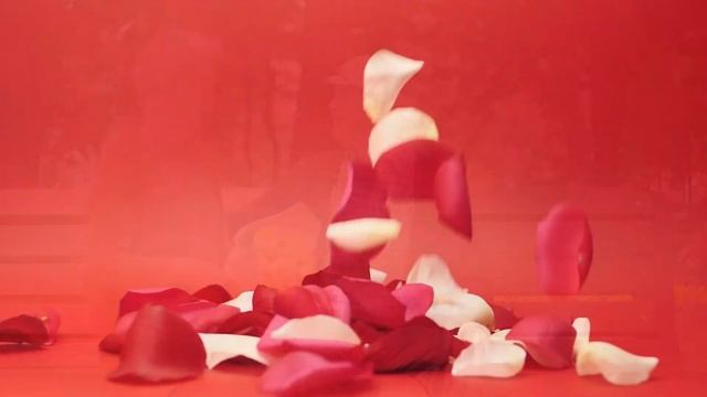 С ДНЁМ СВЯТОГО ВАЛЕНТИНА (ПОЗДРАВЛЯЛКА) смотреть онлайн