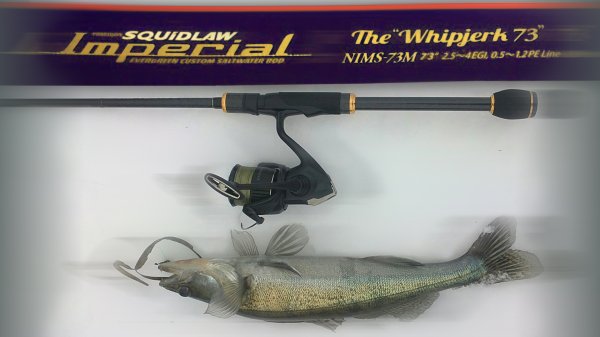 Evergreen Poseidon Squidlaw Imperial NIMS - 73M. Часть 1 / Обзор на рыбалках первой половины года.