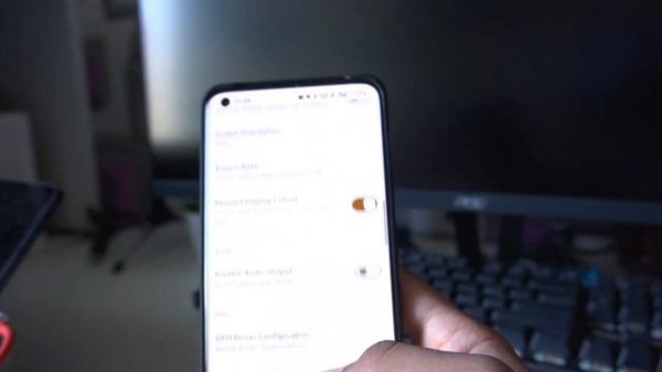 Animal Crossing New Horizons Now Playable In Skyline Emulator Android - Gameplay/Review
