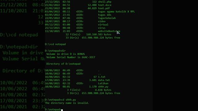 TYPING TEXT - PYTHON смотреть онлайн