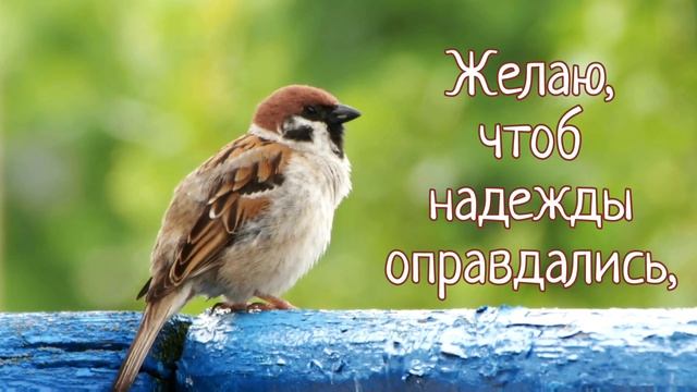 Пусть будет в жизни каждый миг прекрасен! Доброго дня! смотреть онлайн