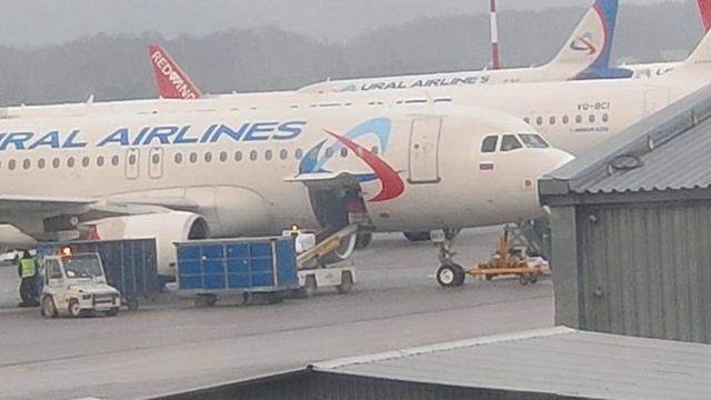 Посадка самолётов из Аэропорта Кольцово Екатеринбург | Смотрим Airbus A319, A320, A321. смотреть онлайн