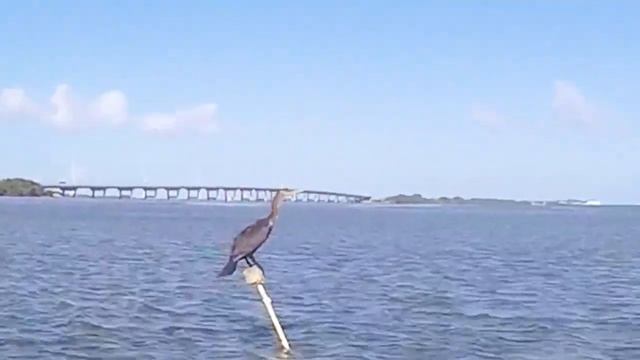 Каякинг и сноркелинг в Южной Флориде