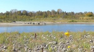 Оздоровление черепно-мозговых нервов Для женщин  Настрои академика Сытина Г.Н.