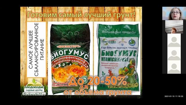 РАССАДА 1 Какие условия нужны идеальной рассаде?