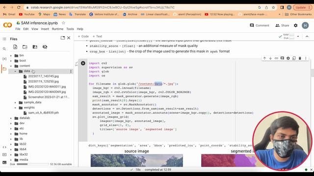 Unveiling the Secrets of SAM: A Step by Step Python Tutorial! смотреть онлайн