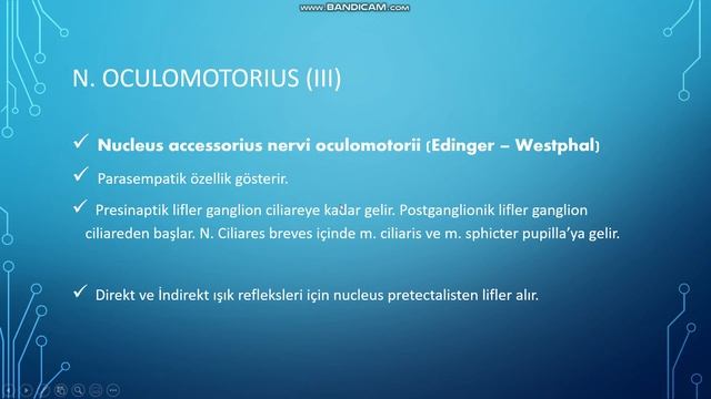 N. Oculomotorius - III. Kraniyal Sinir смотреть онлайн
