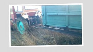 Владимирец Т-25 ☆ Вывоз дров из ТРУДНОДОСТУПНОГО места.