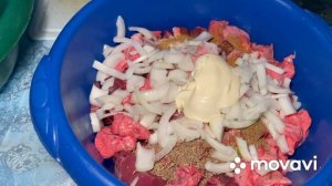 Шашлык из говяжьего легкого,печени,сердца и мясо курицы в духовке дома.