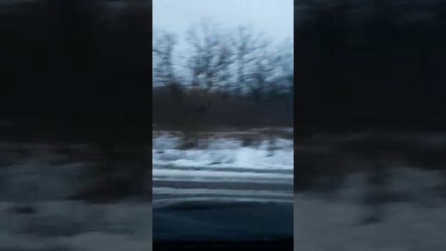 УЖАСТНОЕ состояние ул.Зеленая. с.Семилуки. смотреть онлайн