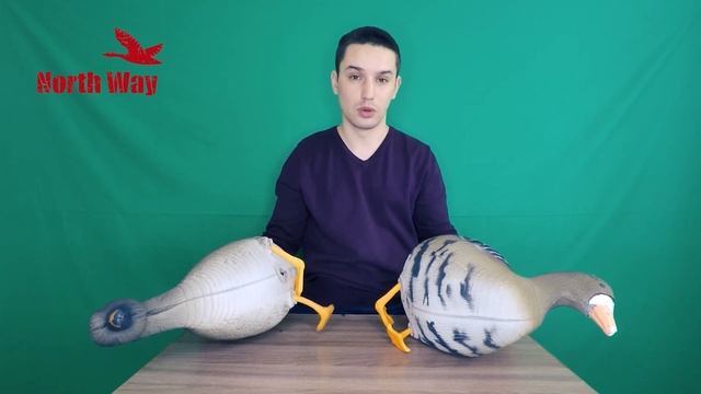 Гусиные чучела S-XPE Живое перо от North Way смотреть онлайн