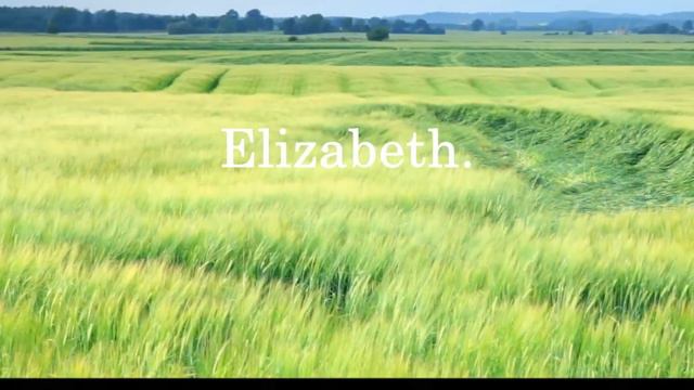 BISHOP STREET by Rene D. Schultz -- Book Trailer 2014 смотреть онлайн