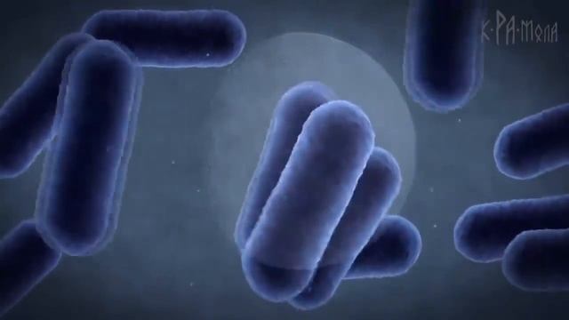 АМЕРИКАНЦЫ НА ЛУНЕ НЕ БЫЛИ 100% ДОКАЗАТЕЛЬСТВА  САМЫЕ УБОЙНЫЕ ФАКТЫ ЛУННОЙ АФЁРЫ США