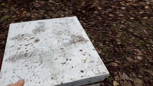 О сроках... смотреть онлайн