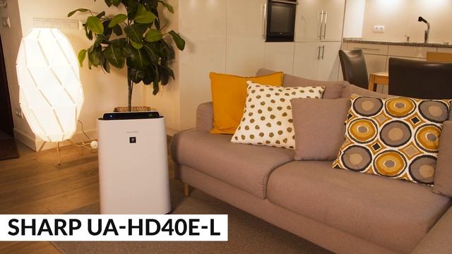 Jak Wybrać Oczyszczacz Powietrza | 10 najczęściej zadawanych pytań! | Media Expert смотреть онлайн