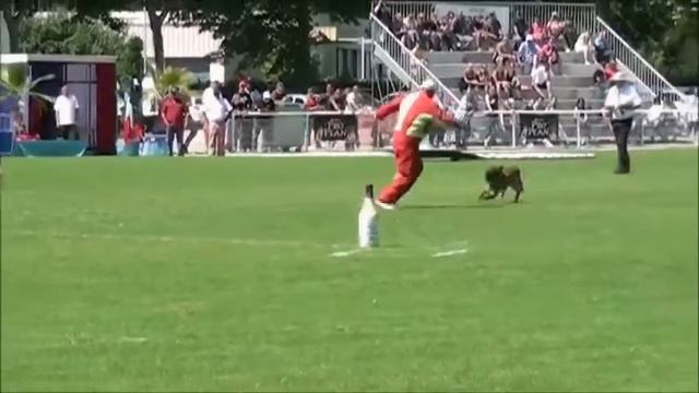 Семинар Мондьоринг Villain Красноярск 2017 смотреть онлайн