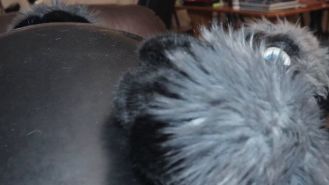 Zaros Accidentally Inflates Xandiel...