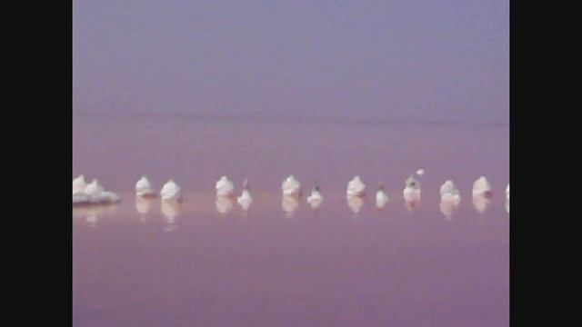 Ищем места силы)) Озеро Сасык-Сиваш!!! смотреть онлайн