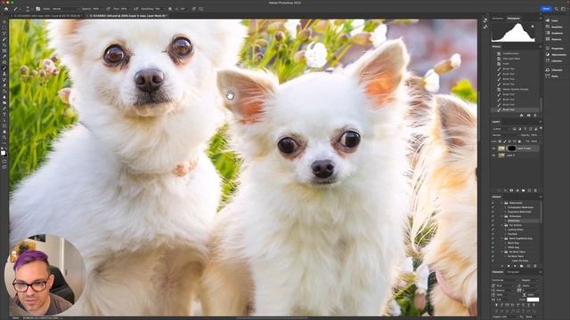 How To Make Multiple Dogs Eyes Sparkle - Dog Photography Editing смотреть онлайн