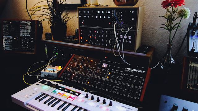 Just a Minute - Prophet Rev2, Subharmonicon, DFAM, MI Peaks смотреть онлайн