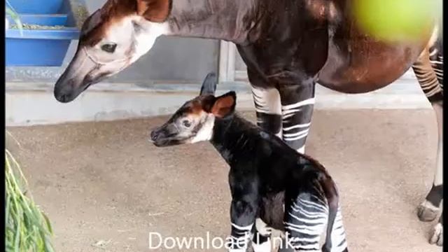 Download Free Pinterest Pics 2012 смотреть онлайн