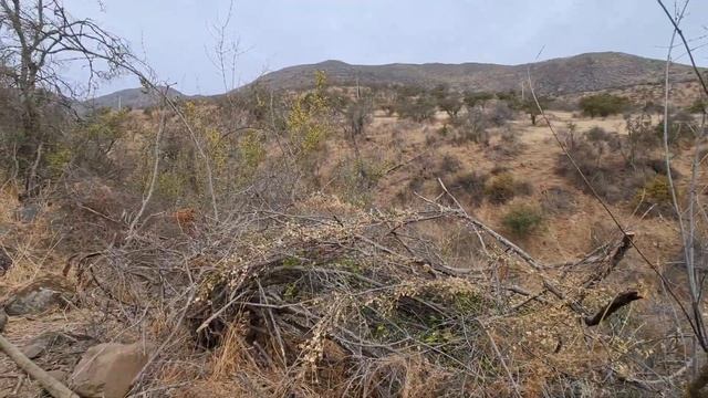 Cercado parcela 106 La Aurora смотреть онлайн