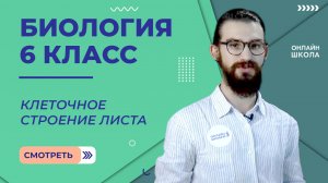 Клеточное строение листа. Урок 7. Биология 6 класс