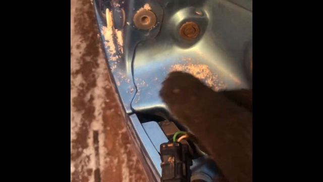 Замена лампы стоп-сигнала Hyundai Tucson 2018 смотреть онлайн