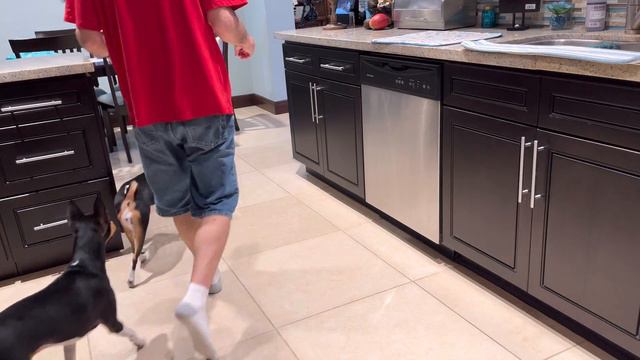 Zinga Is Always First! смотреть онлайн