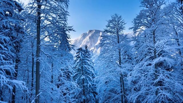 УТРЕННЯЯ ТИШИНА. Пятница 20.01.2023. Лучшая духовная практика. смотреть онлайн