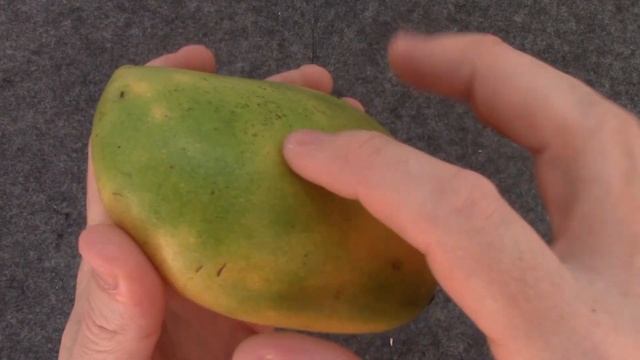 ✅ Пять признаков спелого манго! Выбираем созревший манго. смотреть онлайн