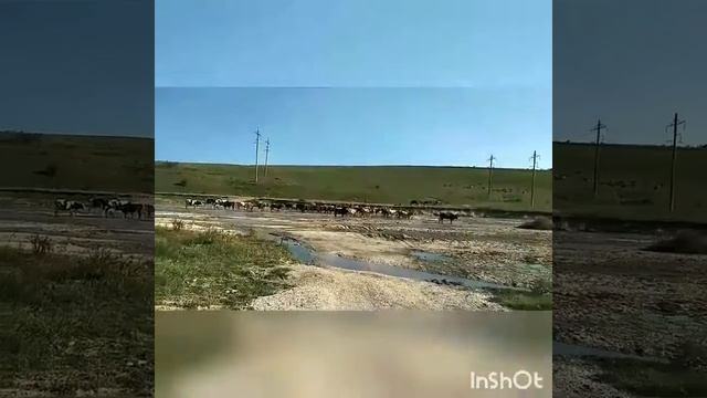 Молочная речечка).mp4 смотреть онлайн