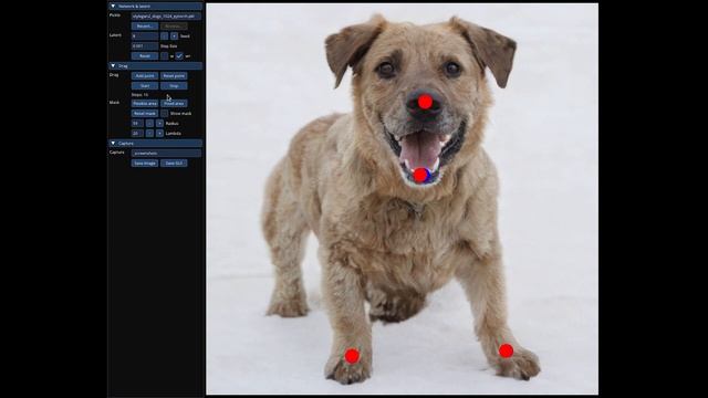 DragGAN: The Photoshop Killer? A Detailed Look! смотреть онлайн