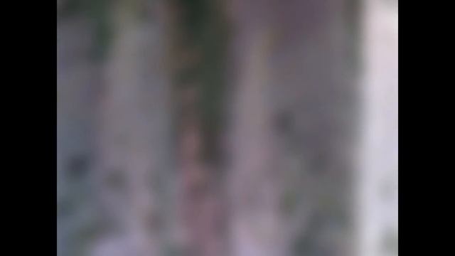 ЭРЕМУРУС (EREMURUS) сем. Асфоделивые смотреть онлайн