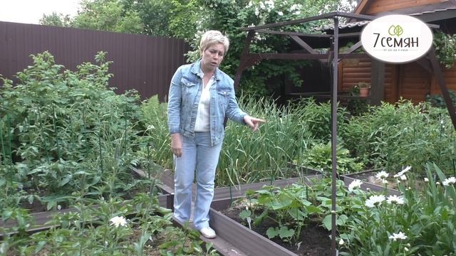 КАК УХАЖИВАТЬ ЗА ОГУРЦАМИ ТАК, ЧТОБЫ ПОЛУЧИТь ОТЛИЧНЫЙ УРОЖАЙ + РЕЦЕПТ ЗЕЛЕНОГО УДОБРЕНИЯ! смотреть онлайн