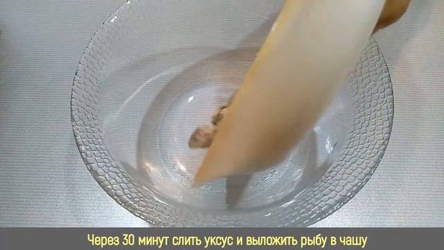 Дизайн и Графика