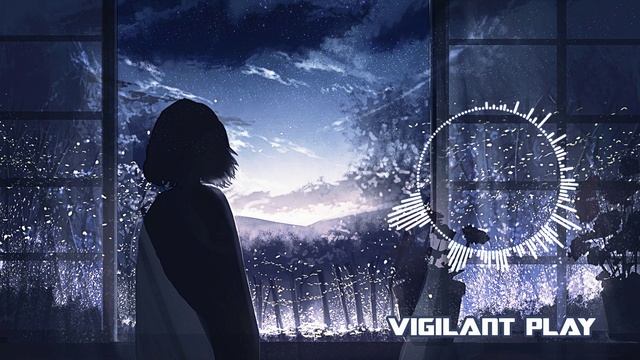 Vigilant PLAY - Enclosed