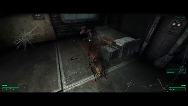 Shipwrecked Pirate Girl Makes Vault 101 Noticeably Worse смотреть онлайн
