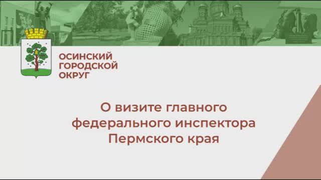 Визит федерального инспектора смотреть онлайн