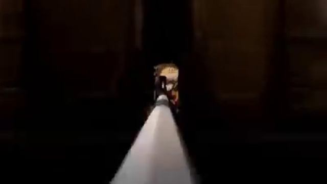 TFS Alucard Bitches love Cannons смотреть онлайн