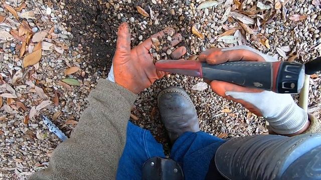 LIVE DIG ACTION!! Tesoro Compadre smashing coins in the loaded totlot. смотреть онлайн