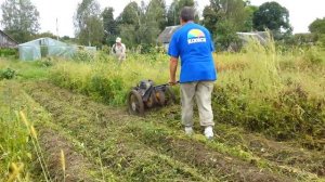 Косим картофельную ботву / Косилка для ботвы / RedHorn