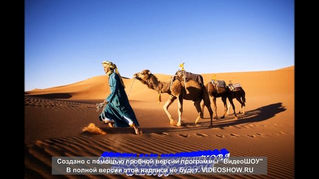 Светлана Кочеткова - Последняя поэма(А. Рыбников) смотреть онлайн