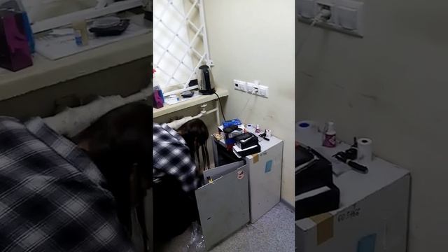 Пересчёт точки на просвещения 87 смотреть онлайн