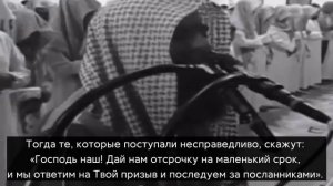 Нарезки Эмоциональных чтений Шейха Мухаммада Аль Люхайдана