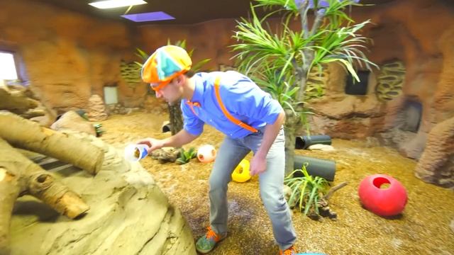 Игровая площадка Эми: Учим цвета вместе с Блиппи| Блиппи на Русском |Изучай этот Мир вместе с Блипп смотреть онлайн