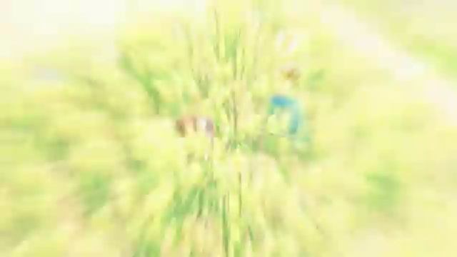 Mabinogi: This is Mabinogi смотреть онлайн