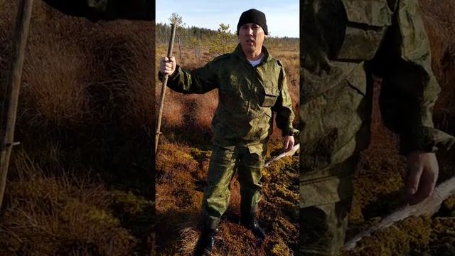 поход за клюквой на болото смотреть онлайн