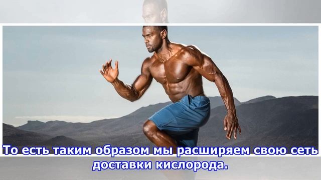 Почему не стоит пренебрегать кардиотренировками низкой интенсивности смотреть онлайн